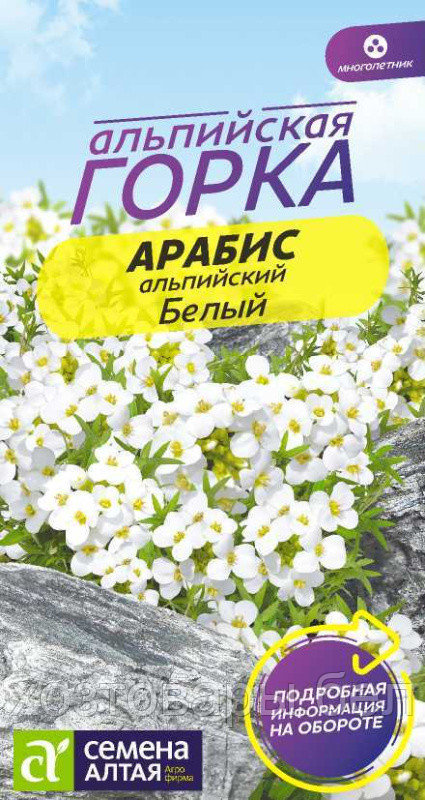 Арабис Альпийский белый 0,1г Мн 20см (Сем Алт) Альпийская горка