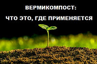 Вермикомпост - что это, где применяется