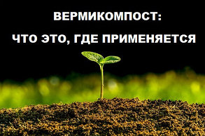 Вермикомпост - что это, где применяется