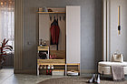 Прихожая Баско компоновка К3, фото 2