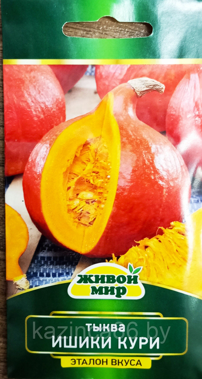 Тыква Ишики кури