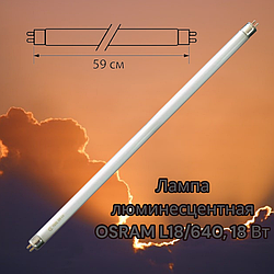 Лампа люминесцентная OSRAM L18/640, 18 Вт, цоколь G13, в виде трубки (59 см.), холодный белый свет