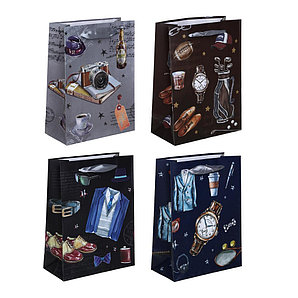 Пакет подарочный 18*24*8 бумажный, мужской, 570-063