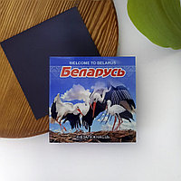 Виниловый магнит "Беларусь"