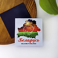 Виниловый магнит "Беларусь"