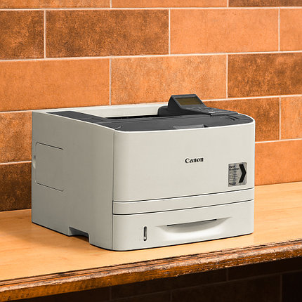 Canon i-SENSYS LBP6670dn, фото 2