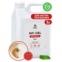 Чистящее средство WC-gel, канистра 5,6 кг