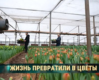Семья фермеров Козятниковых открыла свои секреты