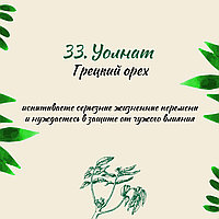 33.Уолнат (Грецкий орех) испытываете серьезные жизненные перемены и нуждаетесь в защите от чужого влияния