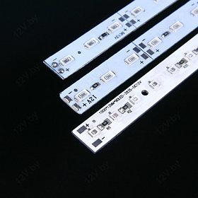 Фито линейки