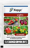 Фунгицид Хорус Сингента Syngenta 4 г Швейцария, фото 2