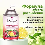 Сменный баллон для автоматических освежителей МЕЛОДИЯ Цитрусовый 250 мл, фото 8
