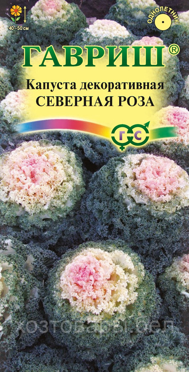 Капуста декор. Северная роза розовая 0,05г Одн 50см (Гавриш)