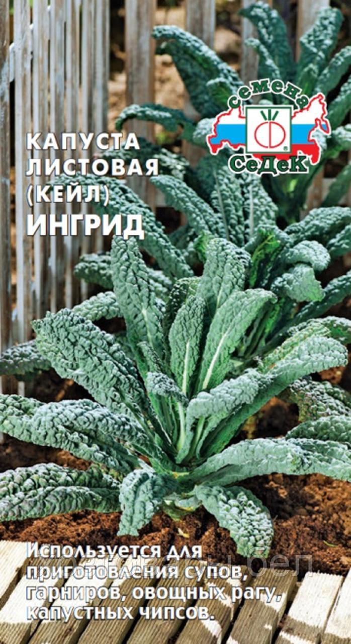 Капуста листовая Ингрид F1 (Кейл) 0.3г Ср (Седек)