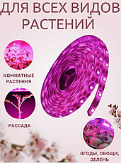 Cветодиодная Фитолента для растений и рассады 4.8W, фото 2