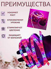 Cветодиодная Фитолента для растений и рассады 4.8W, фото 3