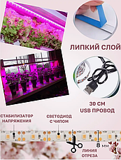 Cветодиодная Фитолента для растений и рассады 4.8W, фото 2