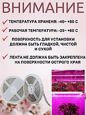 Cветодиодная Фитолента для растений и рассады 4.8W, фото 3