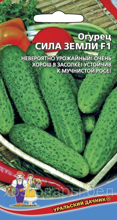 Огурец Сила Земли 0.25г Парт Ранн (УД)