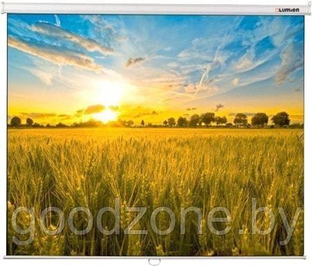 Проекционный экран Lumien Eco Picture 198x300 LEP-100120