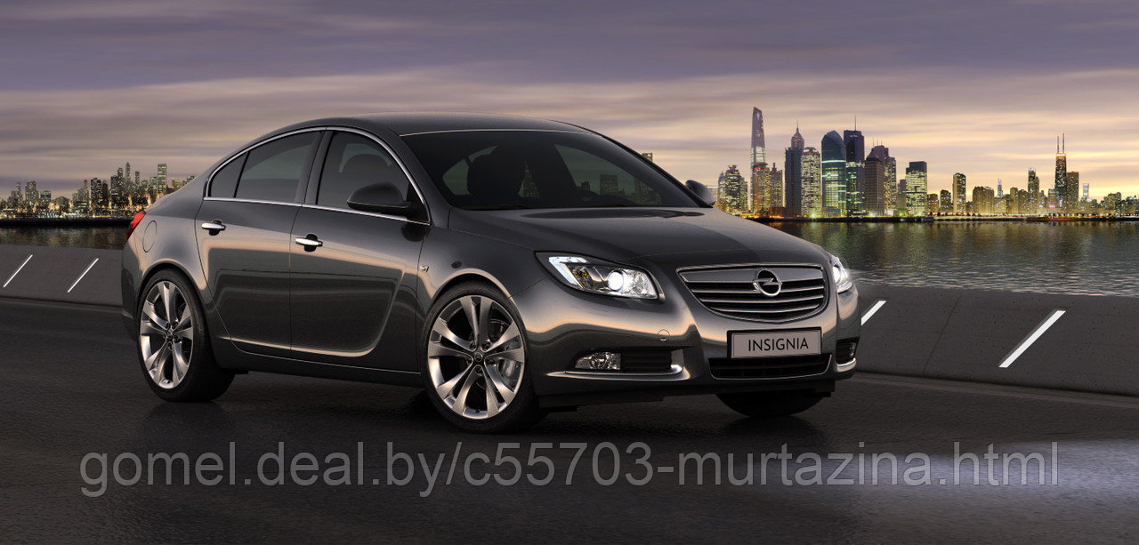 Компьютерная диагностика Opel Insignia - фото 4 - id-p34714231