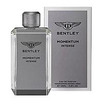 Bentley Momentum Intense