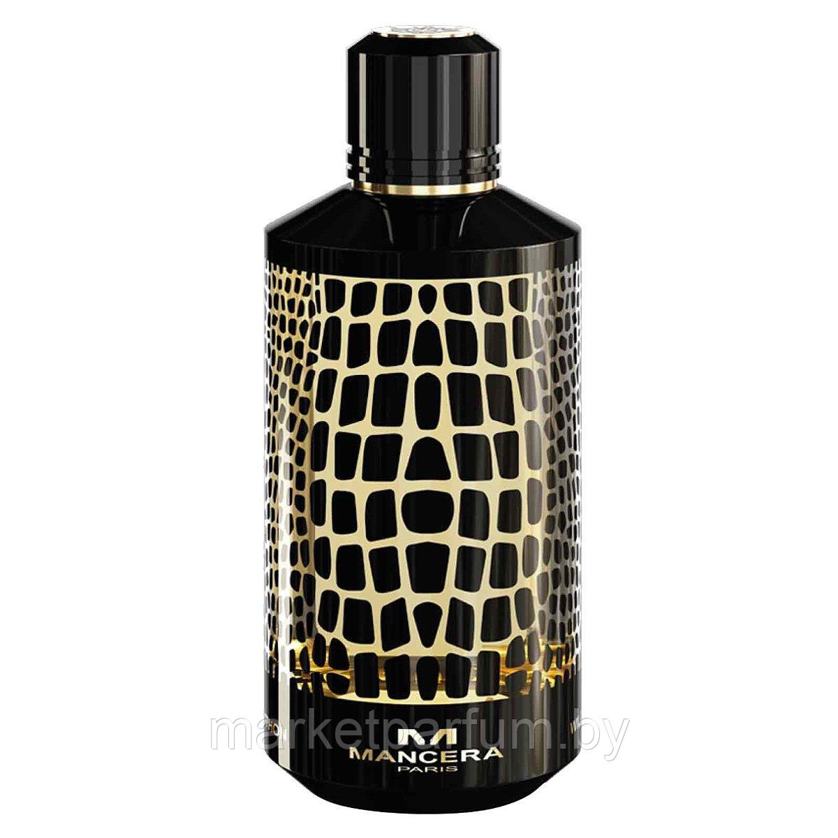 Mancera – Wild Python