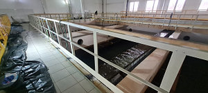 Гродноводоканал. 2024 год. Водозабор Гожка, Ограждения в зале фильтрации