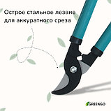 Сучкорез плоскостной, 14,6" (37 см), металлические ручки с поролоновыми накладками, Greengo, фото 2