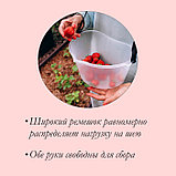 Ёмкость для сбора ягод, 3 л, прозрачная, фото 3