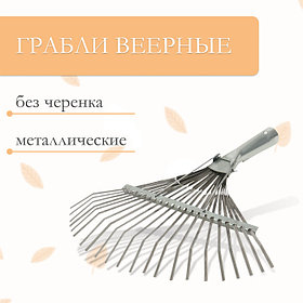 Грабли веерные, пластинчатые, 22 зубца, оцинкованная сталь, тулейка 30 мм, без черенка