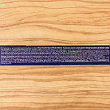 Средство от садовых и домашних муравьев, тараканов «Чистый дом», гель, 35 мл, фото 3