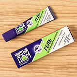 Средство от садовых и домашних муравьев, тараканов «Чистый дом», гель, 35 мл, фото 5