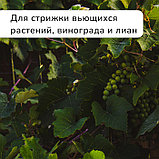 Кусторез, 19" (48 см), с деревянными ручками, Greengo, фото 7