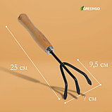 Рыхлитель, длина 25 см, деревянная ручка, Greengo, фото 2