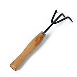 Рыхлитель, длина 25 см, деревянная ручка, Greengo, фото 8