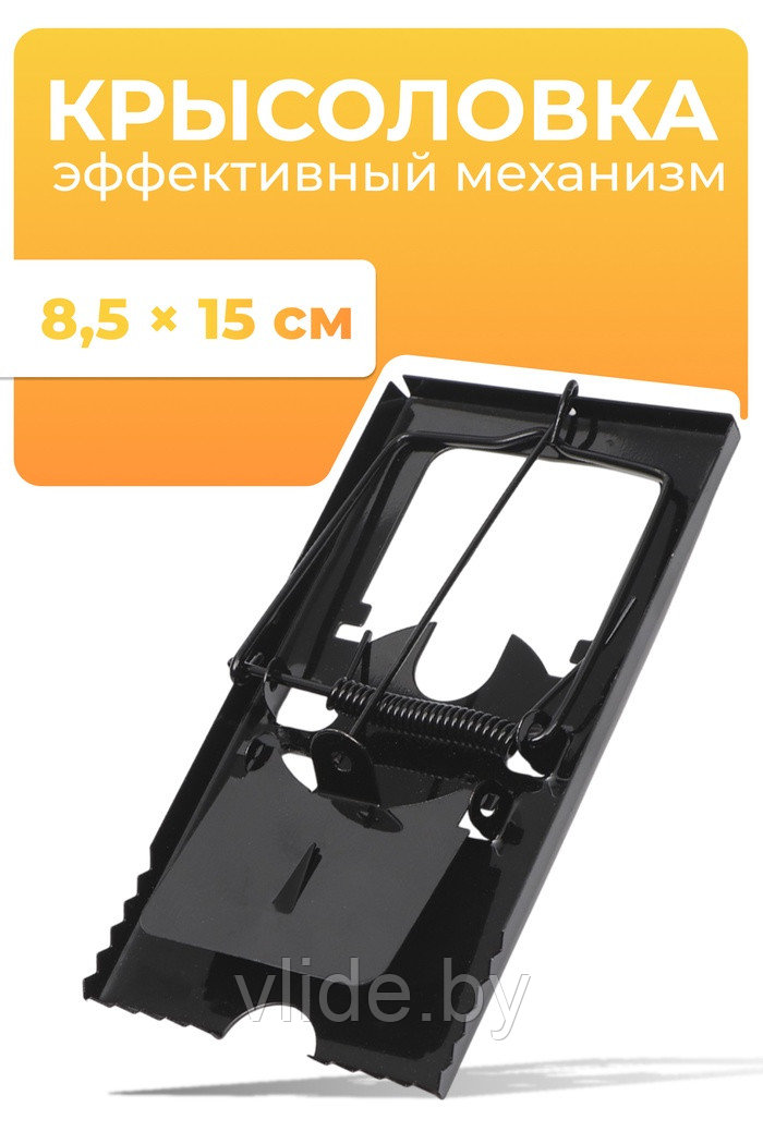 Крысоловка, 8.5×15 см, металлическая