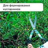Кусторез, 19" (48 см), с пластиковыми ручками, Greengo, фото 6