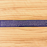 Средство от тараканов и муравьев всех видов «Чистый дом», гель, универсальный, шприц 20 мл, фото 3