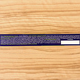 Средство от тараканов и муравьев всех видов «Чистый дом», гель, универсальный, шприц 20 мл, фото 4