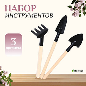Набор садового инструмента для комнатных растений, 3 предмета: грабли, 2 лопатки, длина 24 см, деревянные