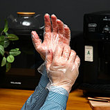 Перчатки одноразовые полиэтиленовые, в упаковке по 100 шт., фото 2