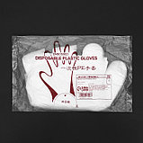 Перчатки одноразовые полиэтиленовые, в упаковке по 100 шт., фото 5