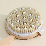 Щётка массажная для тела Доляна, с ремешком, натуральная щетина, фото 3