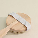 Щётка массажная для тела Доляна, с ремешком, натуральная щетина, фото 4