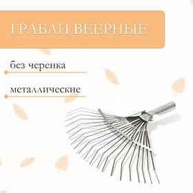 Грабли веерные пластинчатые, 20 зубцов, оцинкованные, тулейка 25 мм, без черенка