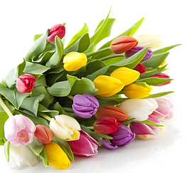 8 марта