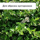 Сучкорез профессиональный, 26.4−37" (67.5−94 см), телескопический, с пластиковыми ручками, МИКС, Greengo, фото 6