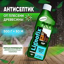Lignofix ТОР, 1 кг концентрат (лечение и профилактика от насекомых, грибков и плесени), фото 2