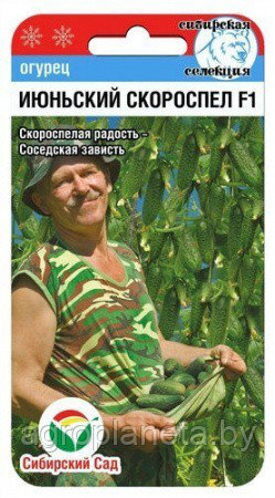 Огурец Июньский Скороспел F1 7 шт